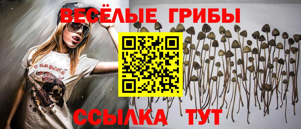 Нягань  Галлюциногенные грибы мухоморы  Вход с VPN 