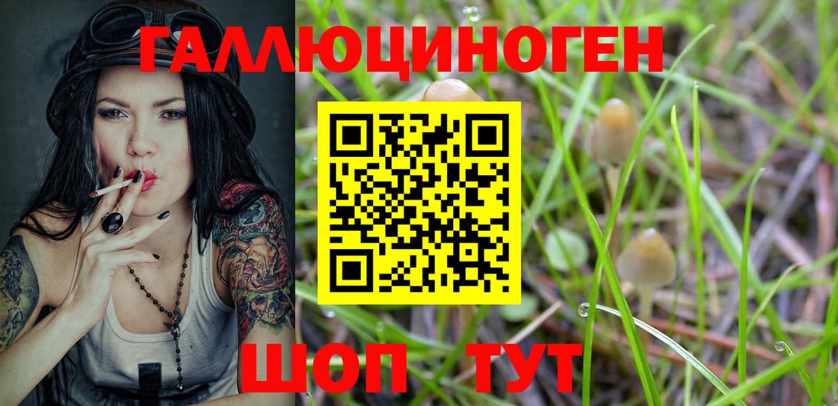Галлюциногенные грибы Magic Shrooms Нягань